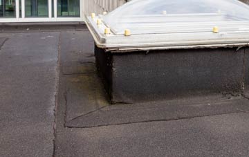 disadvantages of Winterborne Monkton flat roofs