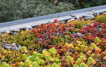 the cost of Winterborne Monkton green roof installation