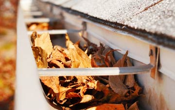 Winterborne Monkton gutter cleaning companies