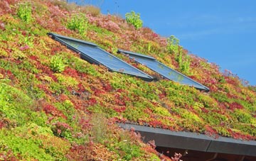 Winterborne Monkton living roof systems