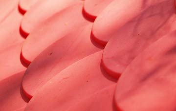 Winterborne Monkton plastic roof costs