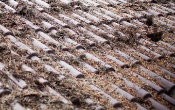 Winterborne Monkton roof cleaning companies