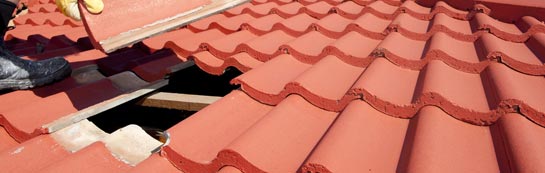compare Winterborne Monkton roof repair quotes