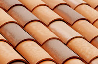 Winterborne Monkton clay roofing
