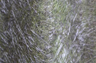 Winterborne Monkton fibreglass roof work