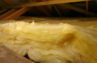 Winterborne Monkton pitch roof insulation
