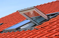 Winterborne Monkton roof window