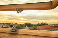rated Winterborne Monkton roof window companies